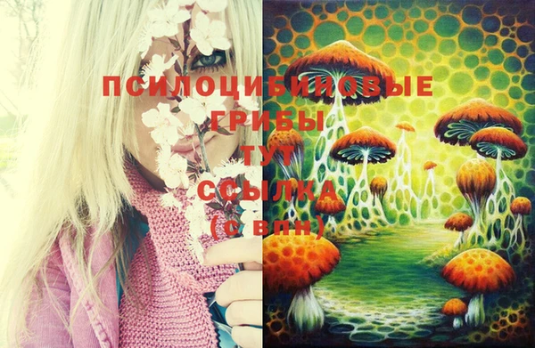 mix Лиски