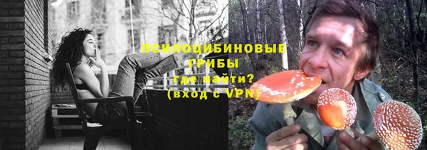шишки Липки