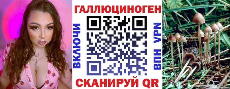 Псилоцибиновые грибы MAGIC MUSHROOMS Пыталово